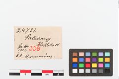 Etiketten zu Bronzearmring (NHMW-PRAE-024721)